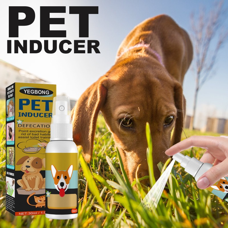 Toilet Training Spray Supplier - Pet Inducer