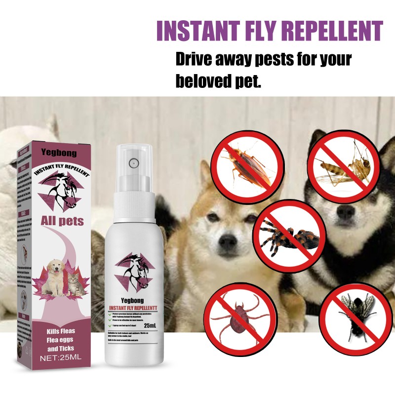 Tick Flea Spray Factory - Non-toxic