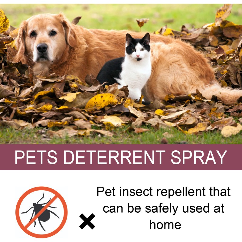 Tick Flea Spray Factory - Non-toxic