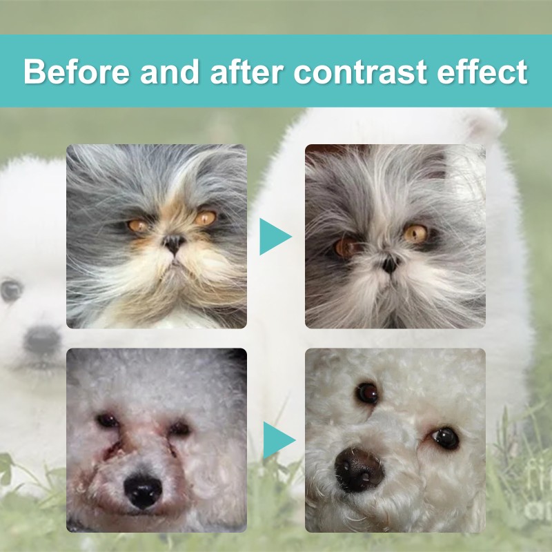 Pet Tear Remover Factory - Natural Formula