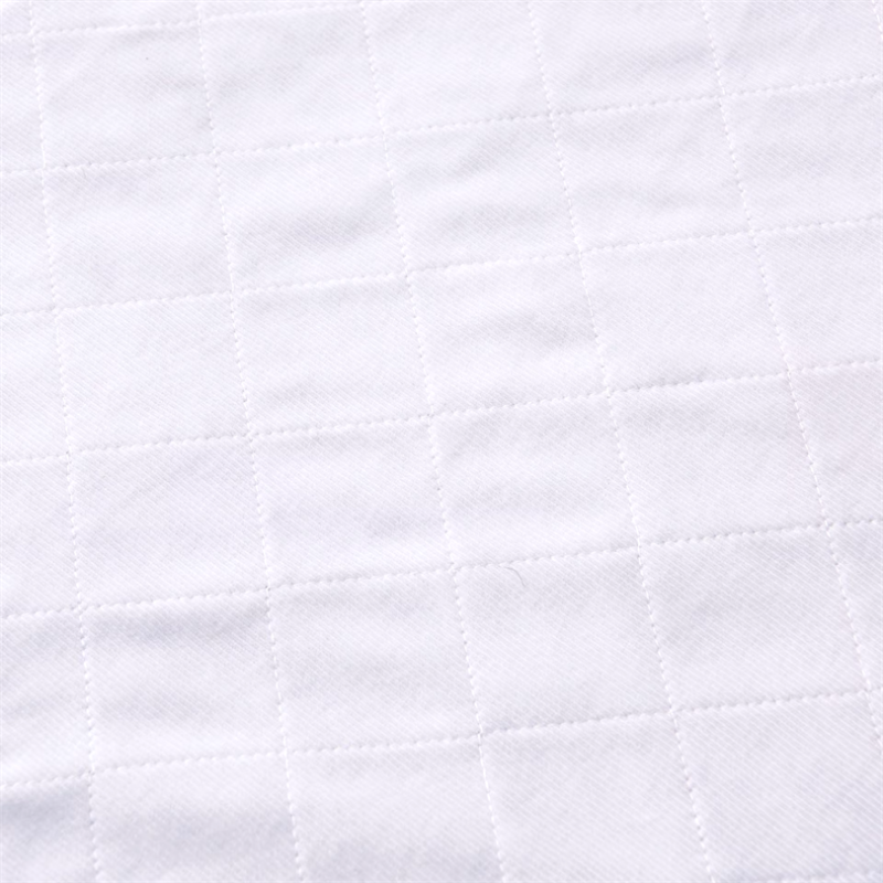 Potty Pants Factory - Cotton Training