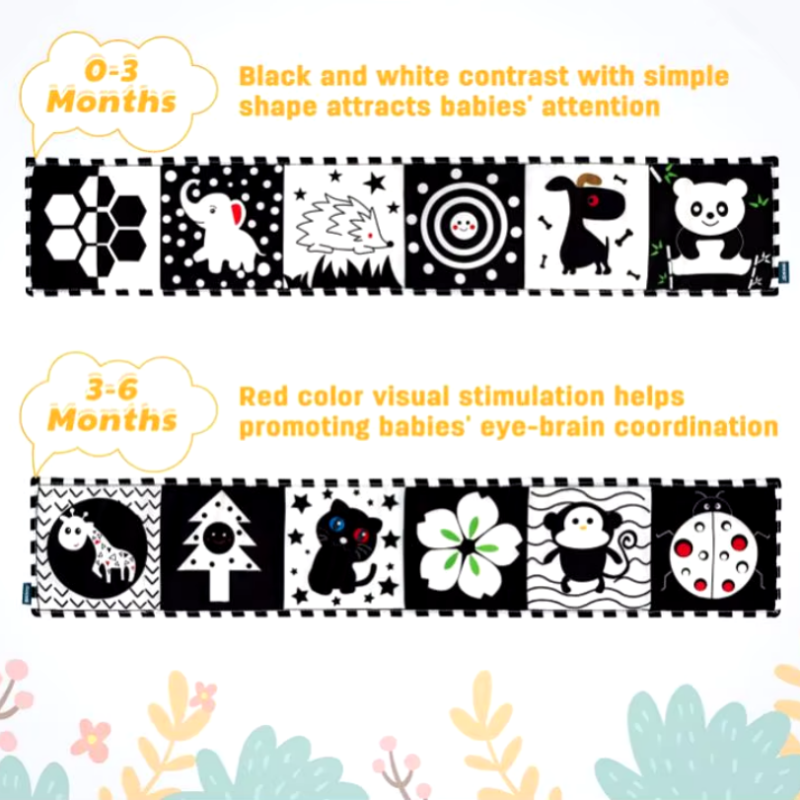 Plastic Boat Supplier - Rowing Boat