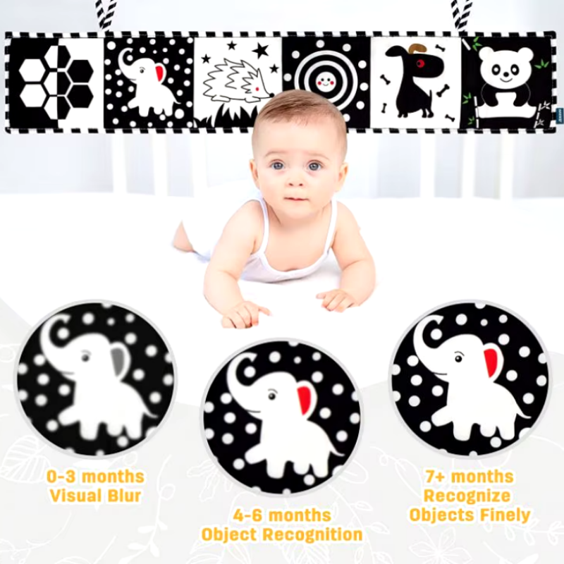 Plastic Boat Supplier - Rowing Boat