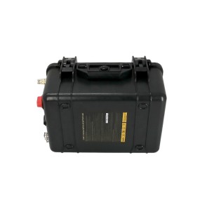 Electric Motor Supplier - 12V/24V Brushless
