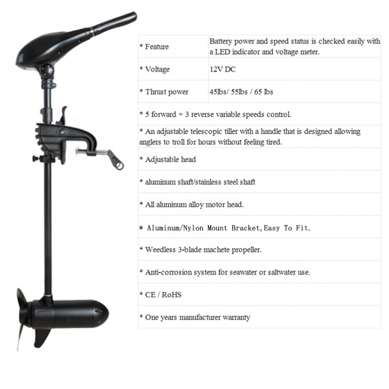 Boat Motor Supplier - 48V High Power