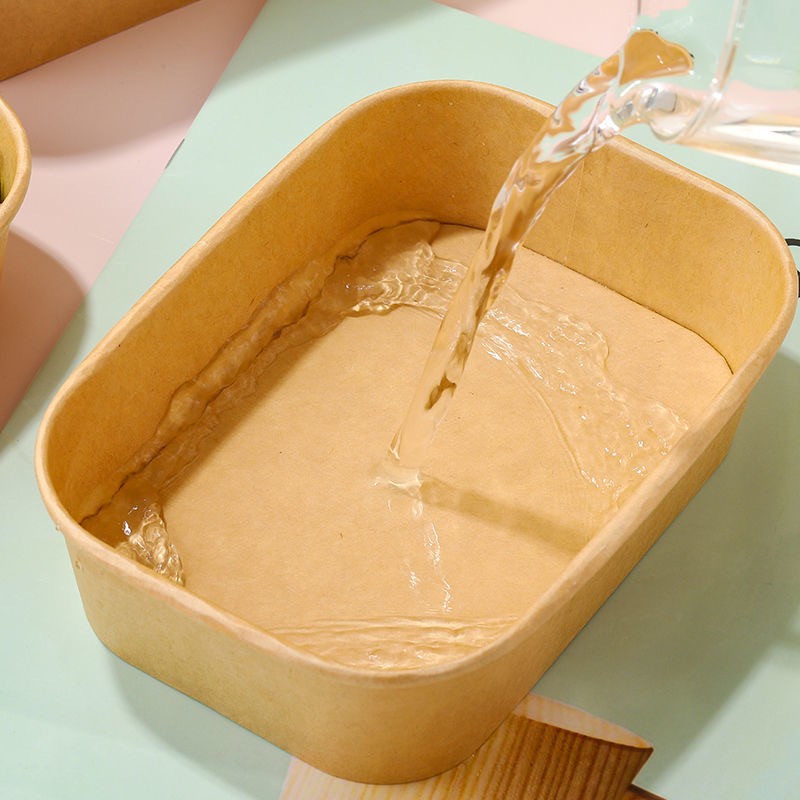 Salad Bowl Supplier - PLA Coating Square