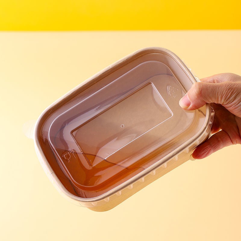 Salad Bowl Supplier - PLA Coating Square