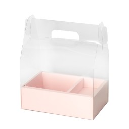 Cake Box Supplier - Clear Tall Transparent