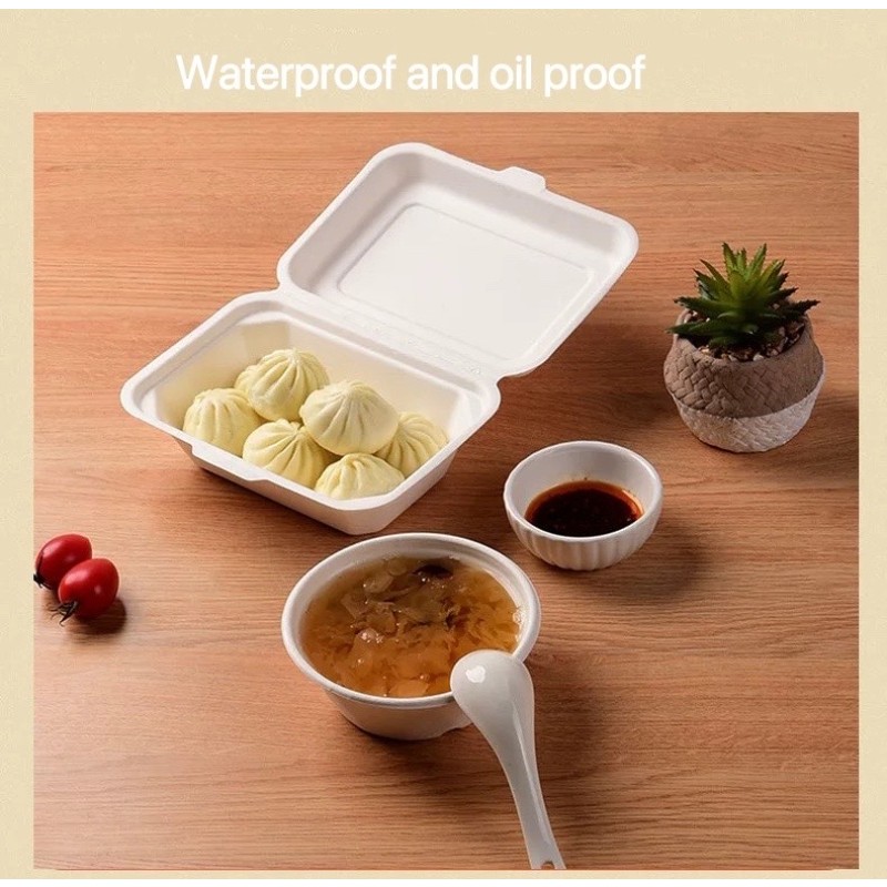 Baby Socks Factory - Knee High Cotton