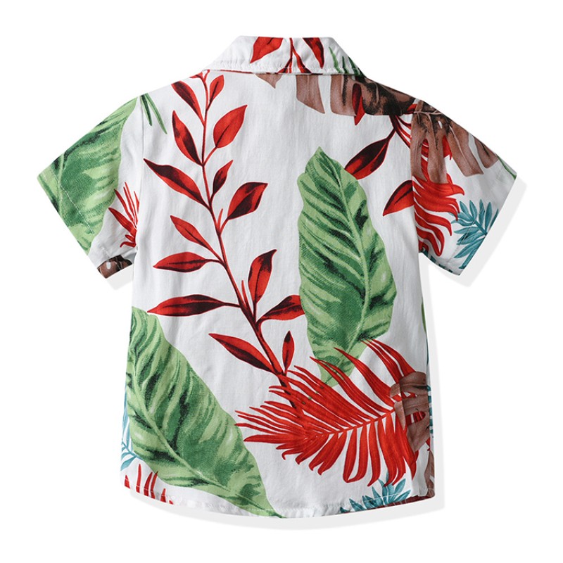 Boys Set Manufacturer - Cartoon Print Tshirt