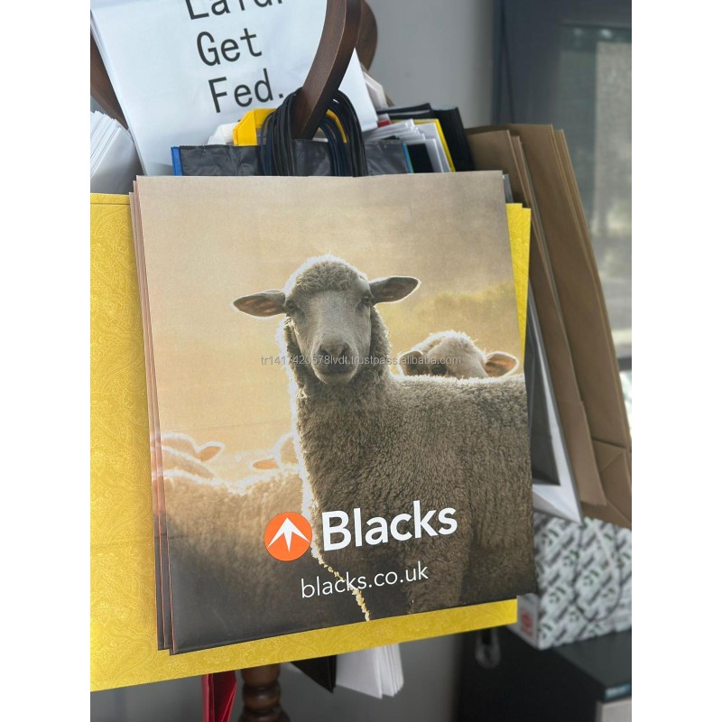 Kraft Paper Bags Manufacturer - Custom Printed Twisted Handle Bags