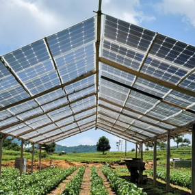 Agri Solar Panels Factory - OEM Walkable Half-Cell Polycrystalline Panels