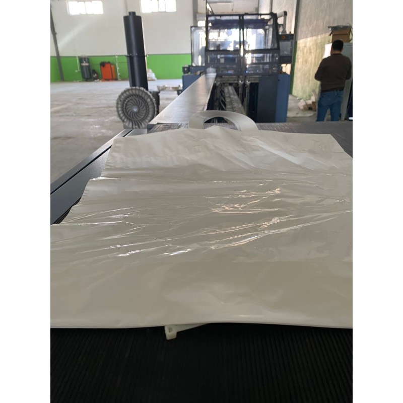 Plastic Shopping Bags Wholesale - OEM Bottom Gusset Flexiloop Bags