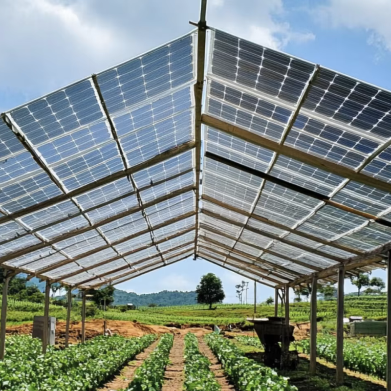 Walkable Solar Panels Manufacturer - OEM Agri TOPCON Bifacial Panels