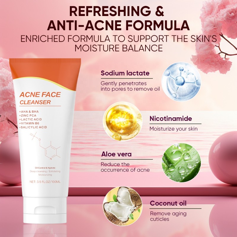 Acne Face Wash Factory - OEM Natural Tea Tree Salicylic Acid Cleanser