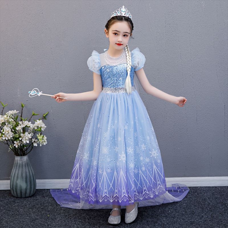Snow Queen Costume Supplier - OEM Adult Elsa Dress