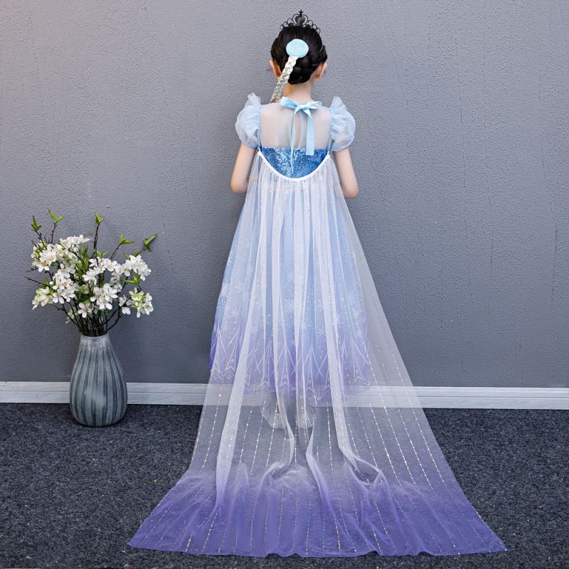 Snow Queen Costume Supplier - OEM Adult Elsa Dress