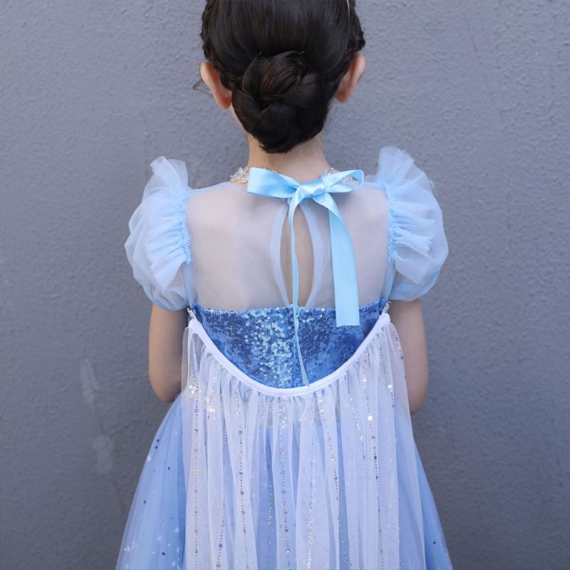 Snow Queen Costume Supplier - OEM Adult Elsa Dress