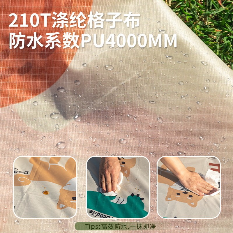Picnic Mat Supplier - Waterproof Foldable