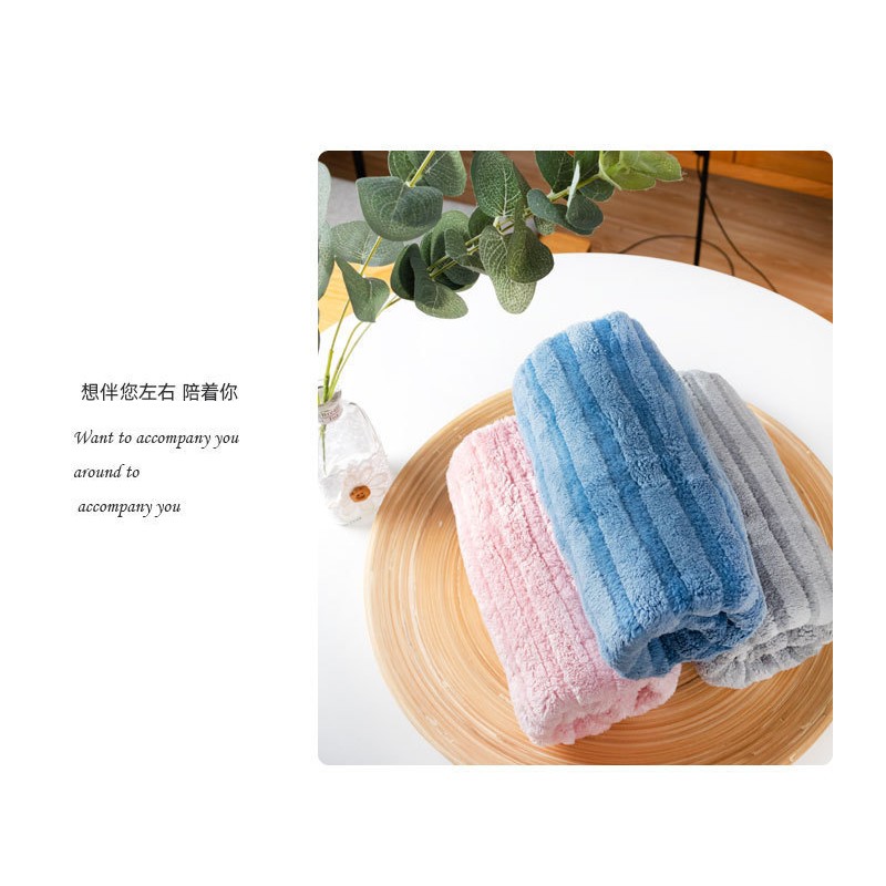 Antibacterial Towel Manufacturer - Silver Ion Microfiber