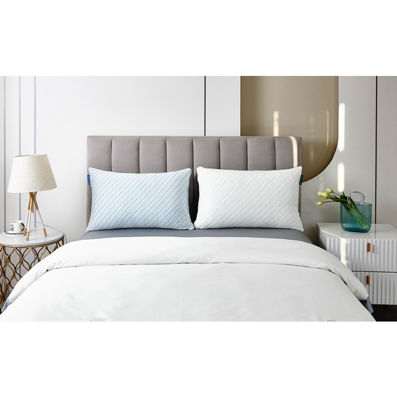 Memory Foam Pillow Manufacturer - Bamboo TPE Custom