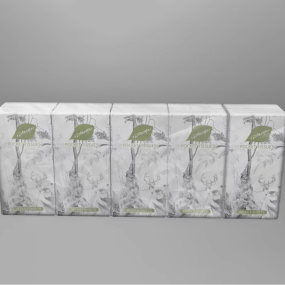 Pocket Facial Tissue Supplier - Eco Friendly Disposable Travel