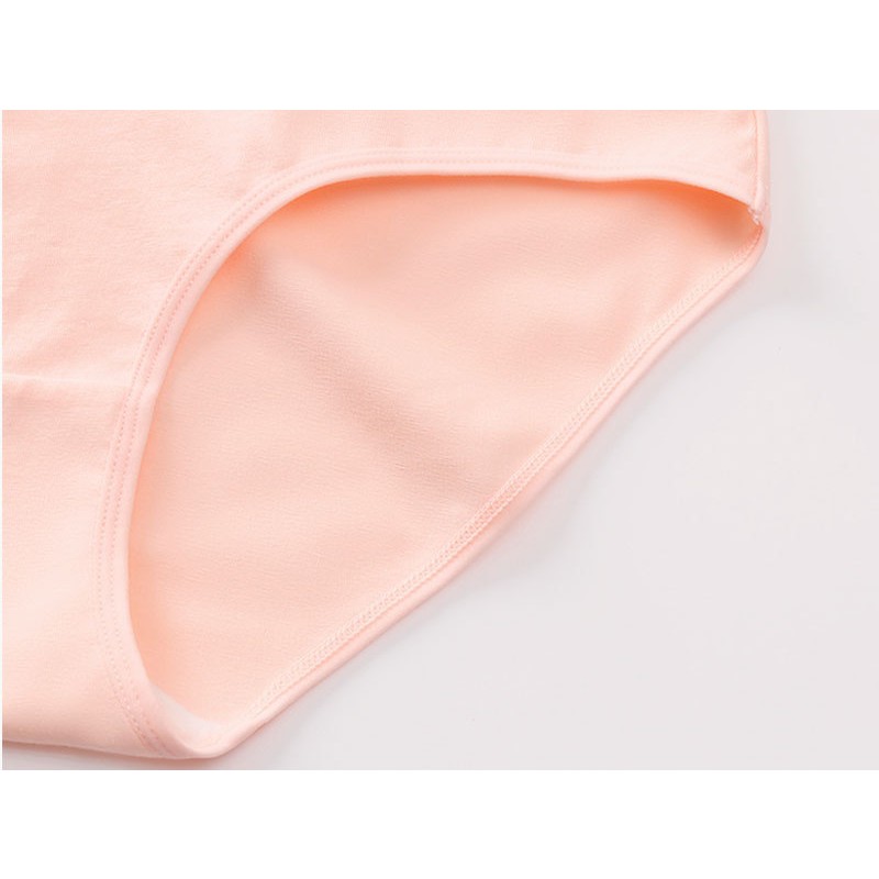 Plus Size Panty Manufacturer - Seamless High Elastic