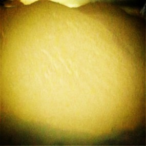 Hydroponic Fodder Factory - Soilless Animal Feed