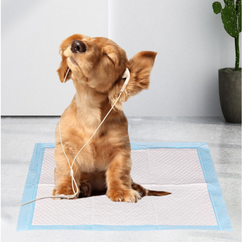 Pet Pad Manufacturer - Bamboo Charcoal Fiber