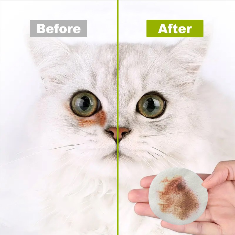 Pet Eye Wipe Supplier - Tear Stain Remover