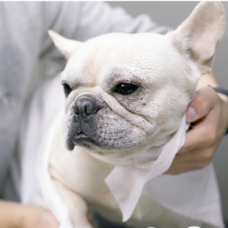 Baby Wipe Factory - Pure Water Flushable