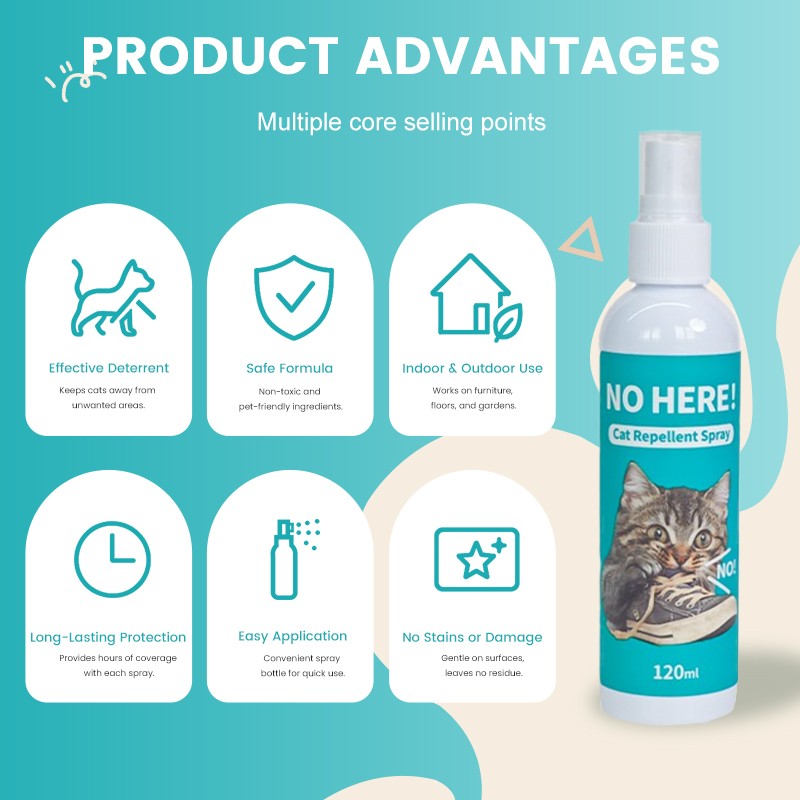 Glasses Wipe Manufacturer - Custom Logo Print