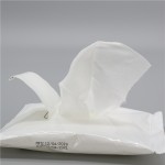 Beauty Care Disposables