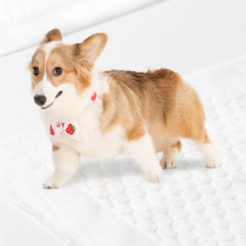 Potty Mat Factory - Charcoal Puppy Training