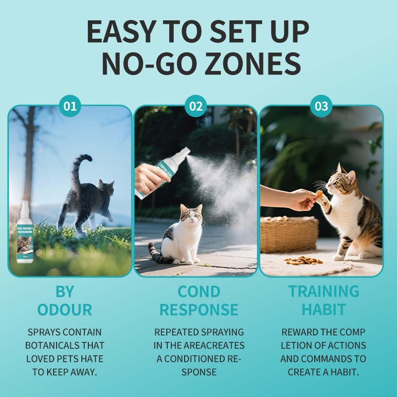 Glasses Wipe Manufacturer - Custom Logo Print