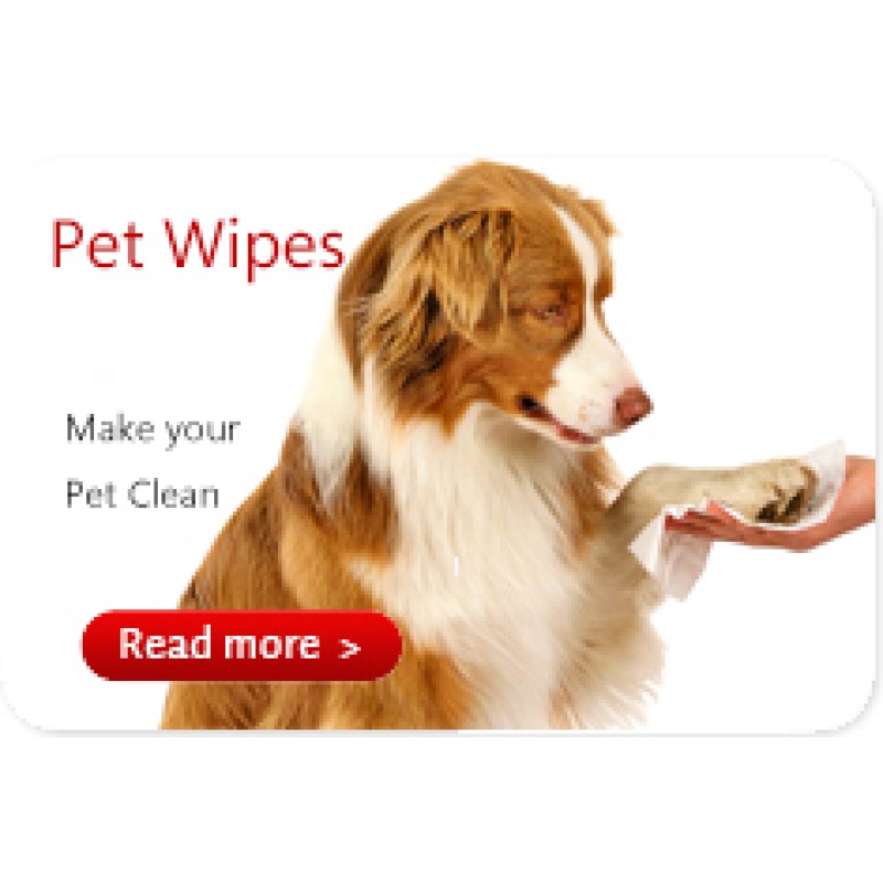 Pet Wet Wipe Factory - Scented Antibacterial