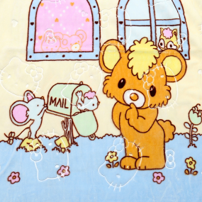 Children's Blanket Manufacturer - Double Layer Warm