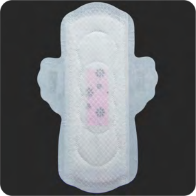 Bamboo Charcoal Pads Factory - Organic Material Winged