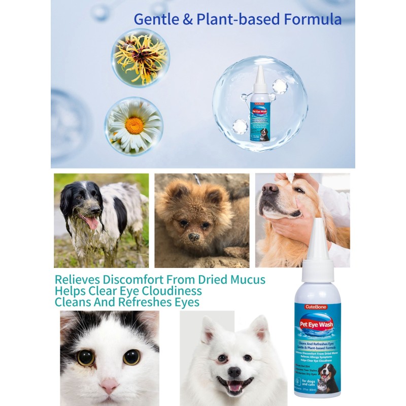 Dog Apparel Factory - Fashion Design Export