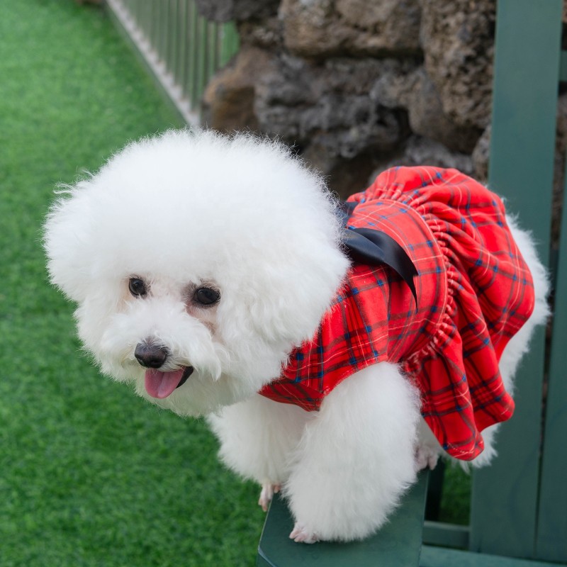 Pet Dress Manufacturer - Winter Velvet Skirt Design