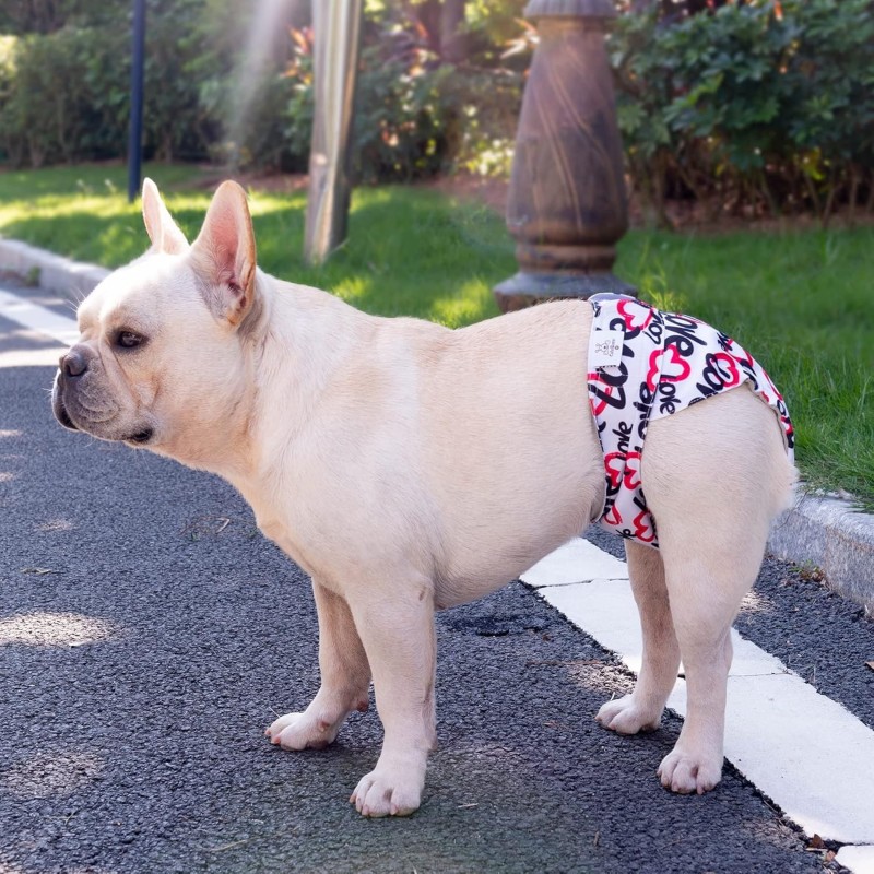 Eye Drops Supplier - Cat Dog Moisturizing Dry