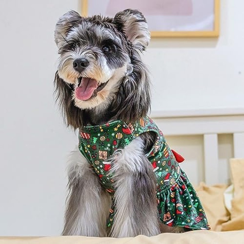 Dog Pants Supplier - Halloween Washable Design