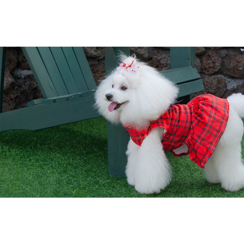 Pet Dress Manufacturer - Winter Velvet Skirt Design