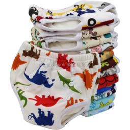 Training Pants Supplier - Reusable Bamboo Pull up Diapers