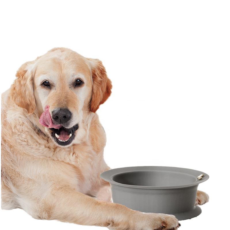 Pet Feeder Factory - Adjustable Raised Ceramic Stainless