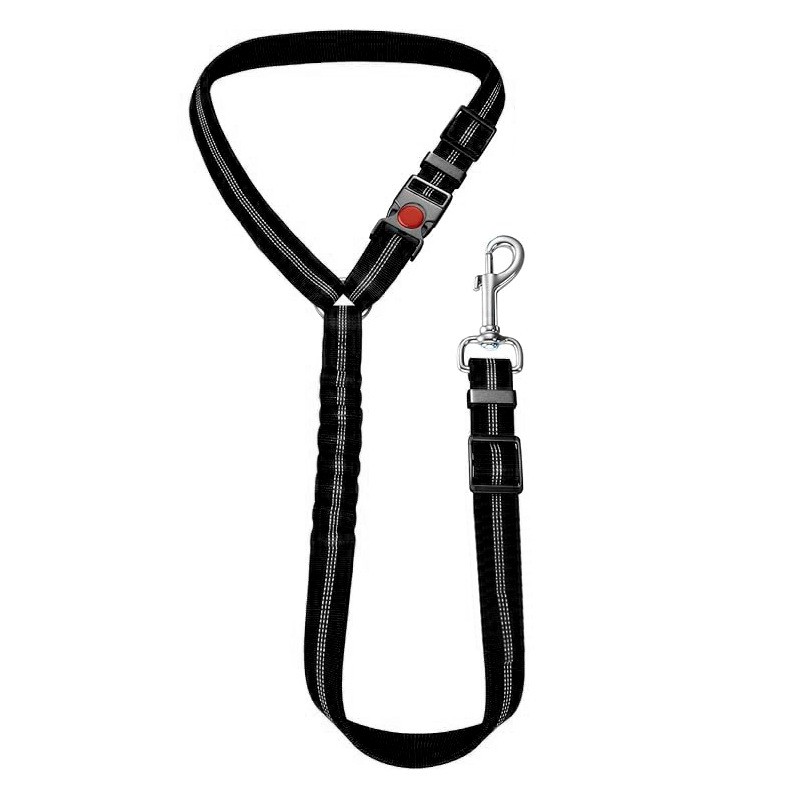 Running Belt Supplier - With Water Bottle Holder Hands Free