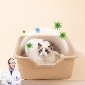 Cat Litter Box Factory - High-density Disposable Cardboard