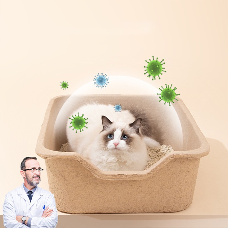 Cat Litter Box Factory - High-density Disposable Cardboard