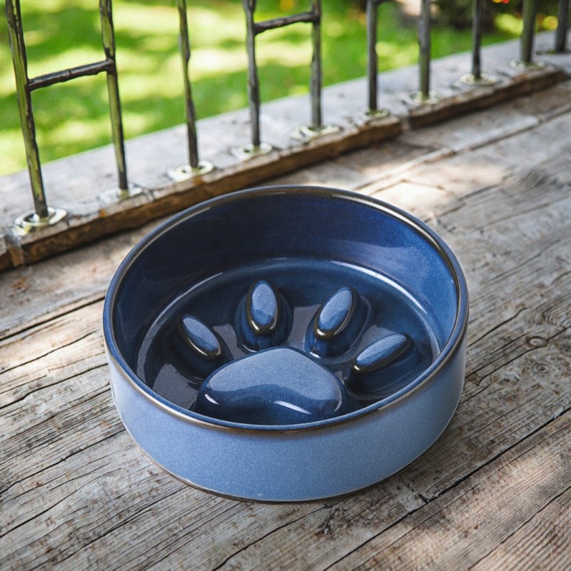 Dog Leash Supplier - New Design Eco-friendly Print Ribbon