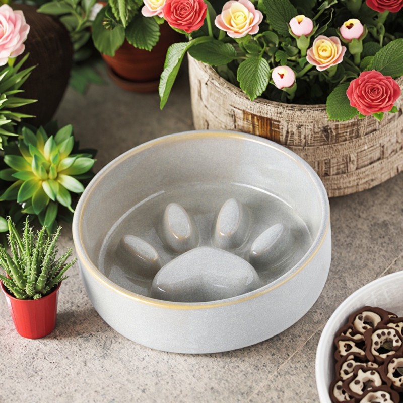 Dog Leash Supplier - New Design Eco-friendly Print Ribbon